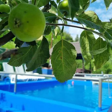 Dom wakacyjny Dolina Mira *