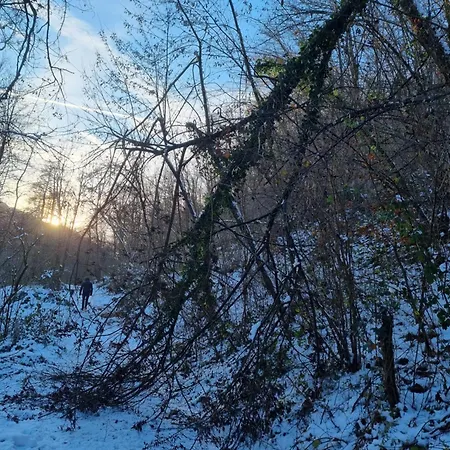 Dolina Mira Srebrenik